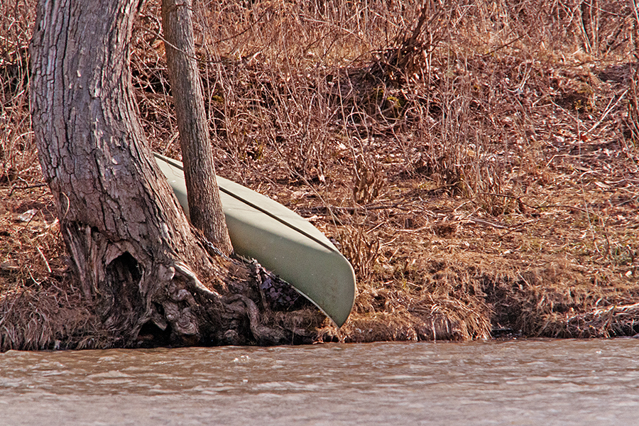 Untitle image from "The Canoe"